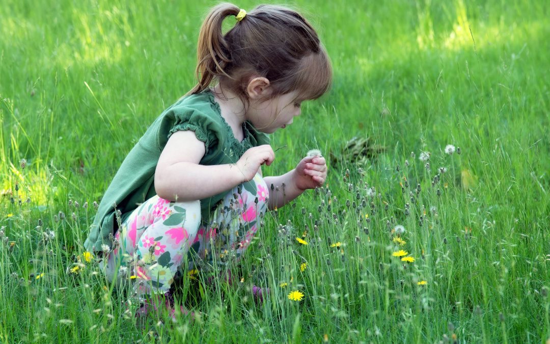 🌱 Den Frühling mit allen Sinnen erleben