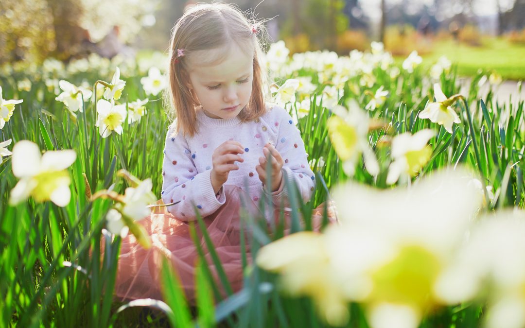 🌷 Frühling im Vorschulalter