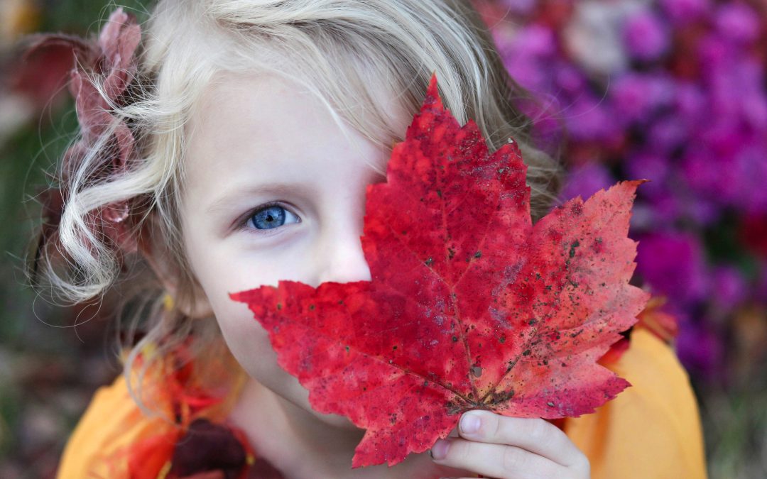 5 kleine Herbstabenteuer für die ganze Familie 🍂